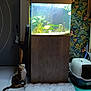 cat, fish_tank, aquarium, fish, calico_cat, rug, floor_tile, litter_box, furniture, plant, indoor, pet, animal, curious, lighting, home_interior, decor, wallpaper, wood, pet_care