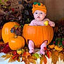 baby, pumpkin, fall, autumn, leaves, orange, hat, fruit, apple, cute, child, seasonal, holiday, decor, nature, harvest, sitting, portrait, smiling, festive