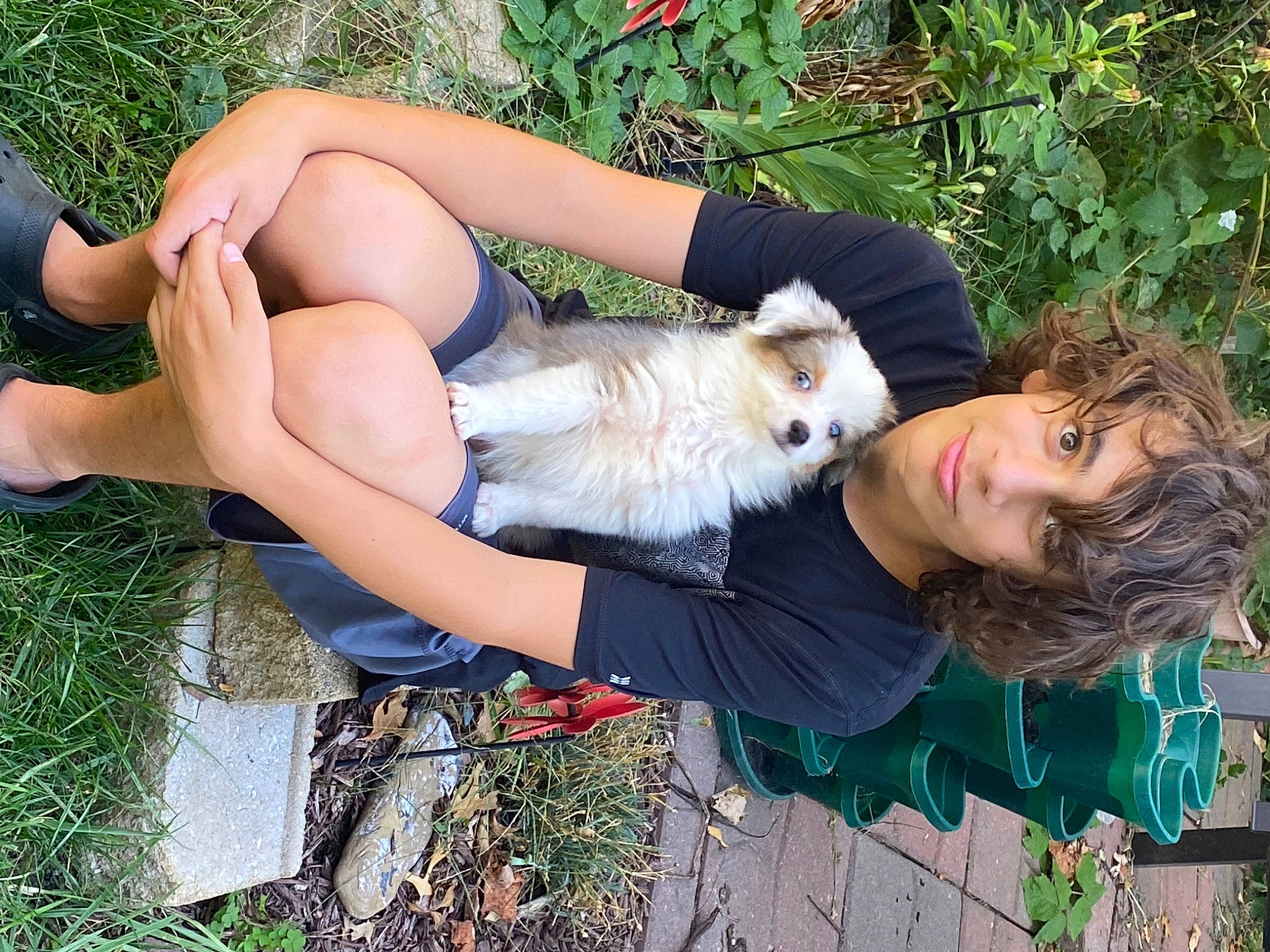 Daisy is registered to the contest to win money with this photo: abdomen, canidae, chest, companion_dog, fawn, foot, fur, grass, human_leg, knee, people_in_nature, plant, shorts, sunglasses, tail, thigh, tree, trunk, wildlife, wildlife_biologist