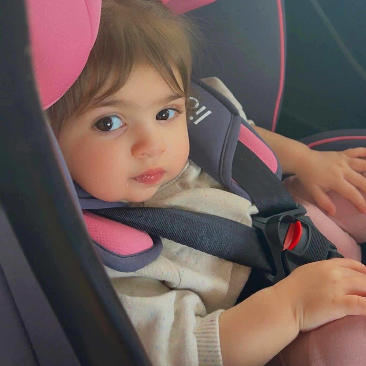 Nélya participe au concours pour gagner de l'argent avec cette photo : toddler, child, car_seat, pink, seatbelt, sweater, portrait, baby, cute, indoors, sitting, clothing, person, face, hair, hand, safety, travel, car, seat