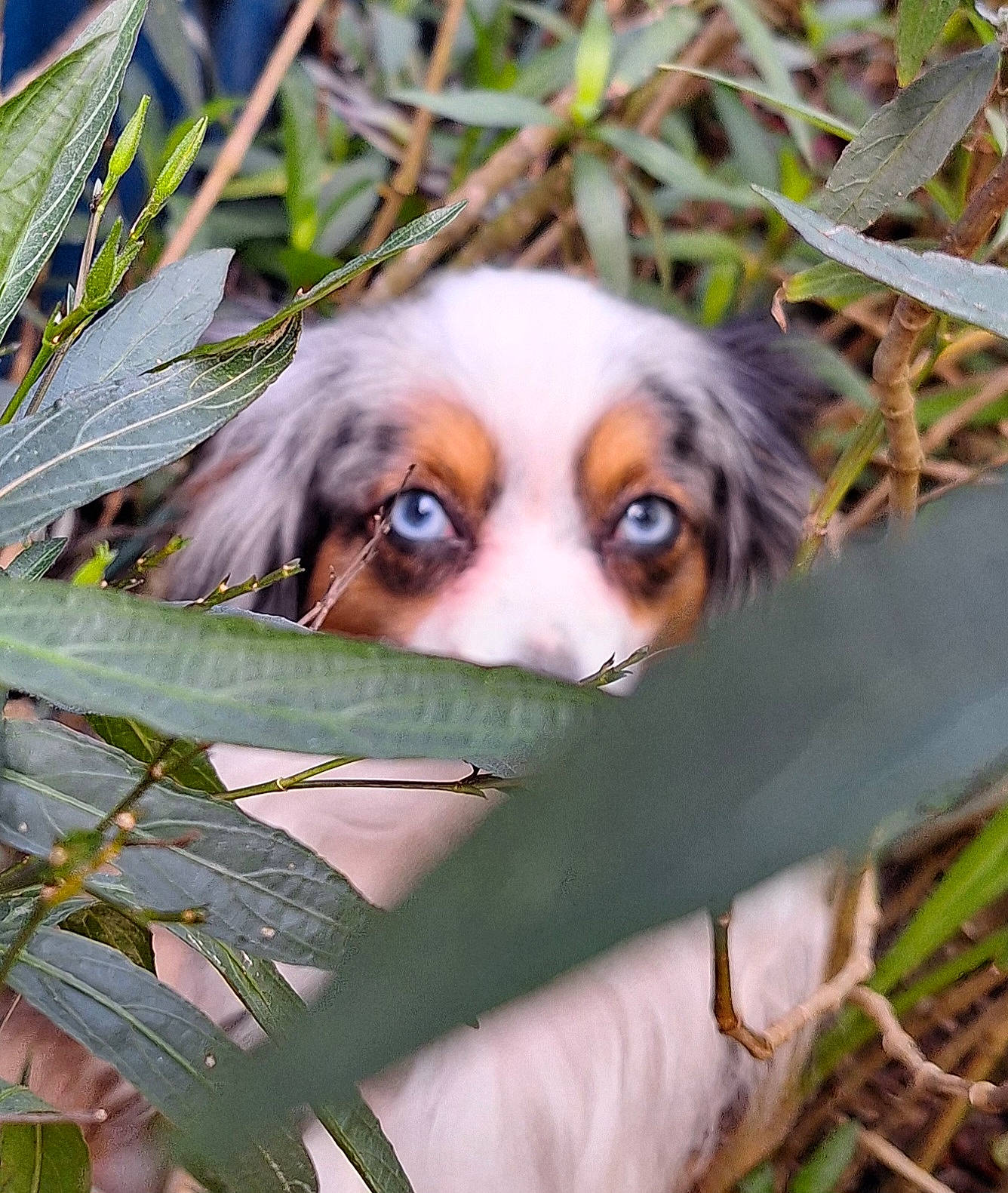 Tucker
