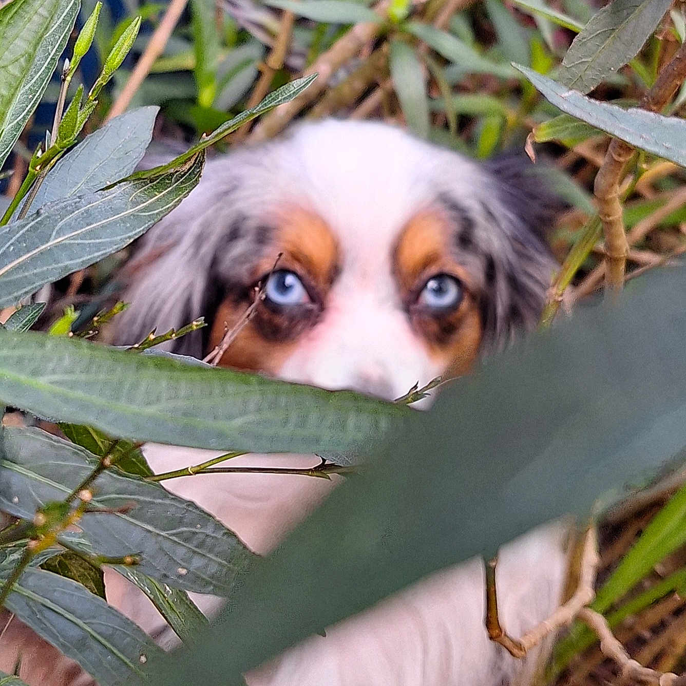 Tucker