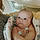 Wylee