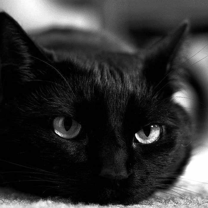 Hettie is registered to the contest to win money with this photo: