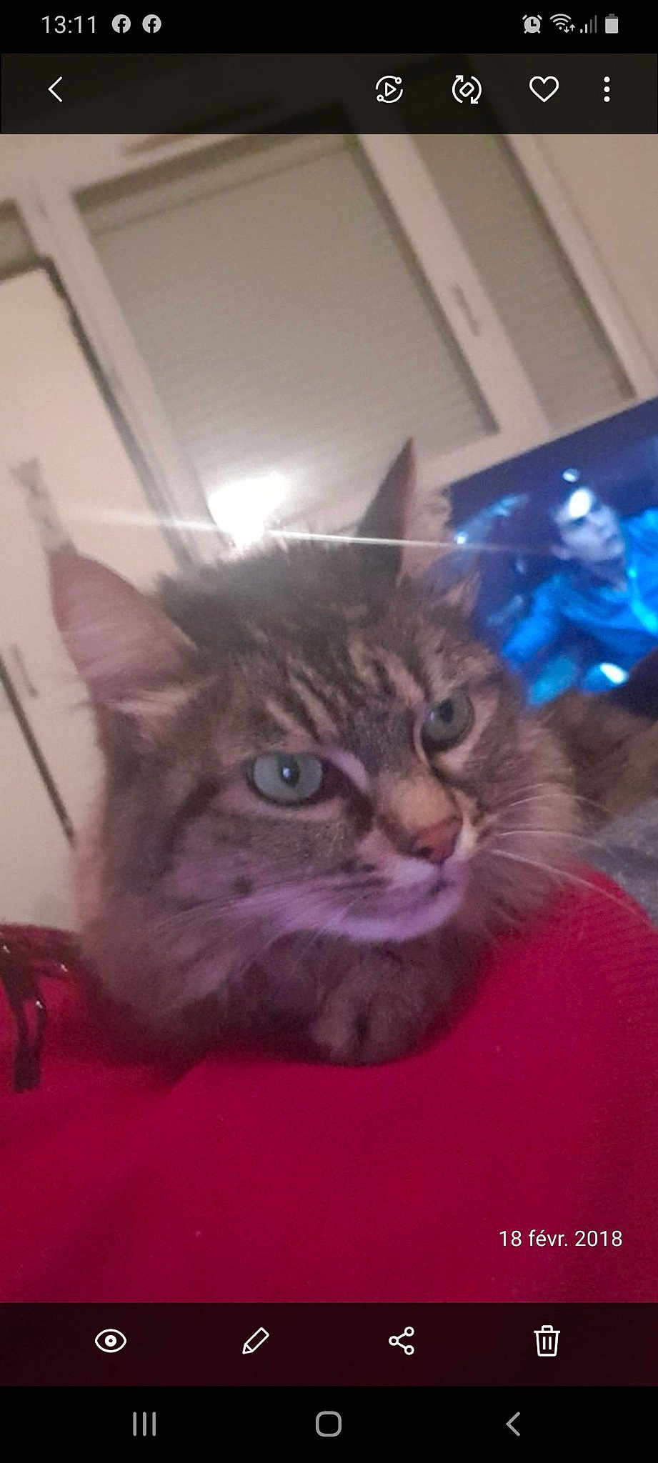 Tigra