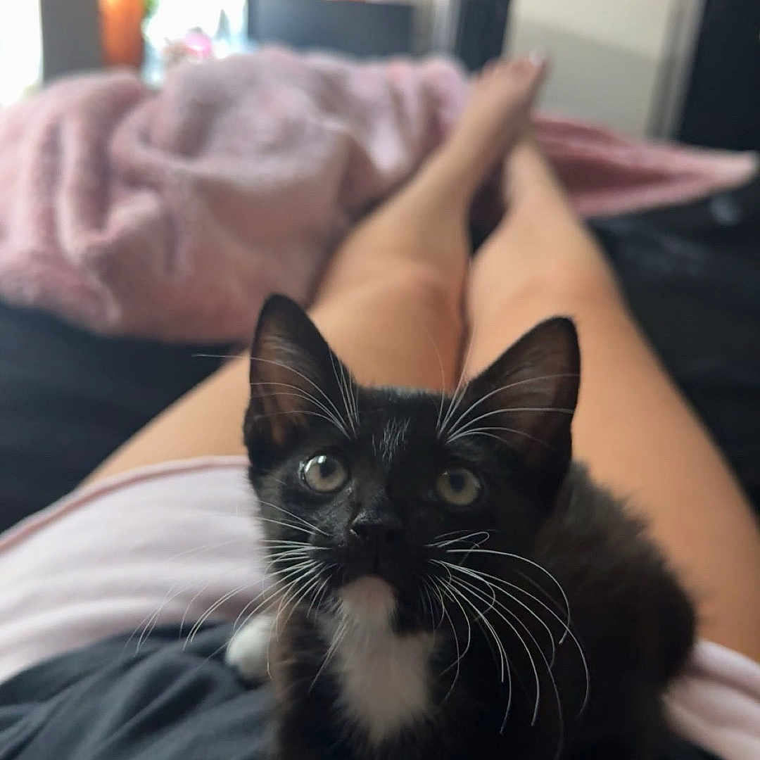 Salem