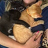 Salem joined the competition — help win amazing prizes! person, cat, kitten, black_cat, ginger_cat, hugging, cuddle, pet, collar, indoor, closeup, hand, nail_polish, leopard_print, face, smile, resting, cozy, animal, sleeping