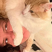 Apple a rejoint le concours — aidez-le/la à gagner de superbes lots ! cat, person, face, paw, fur, orange_and_white, close_up, indoor, cuddle, affection, cozy, curly_hair, blanket, knitwear, resting, cute, pet, animal, human, relaxation