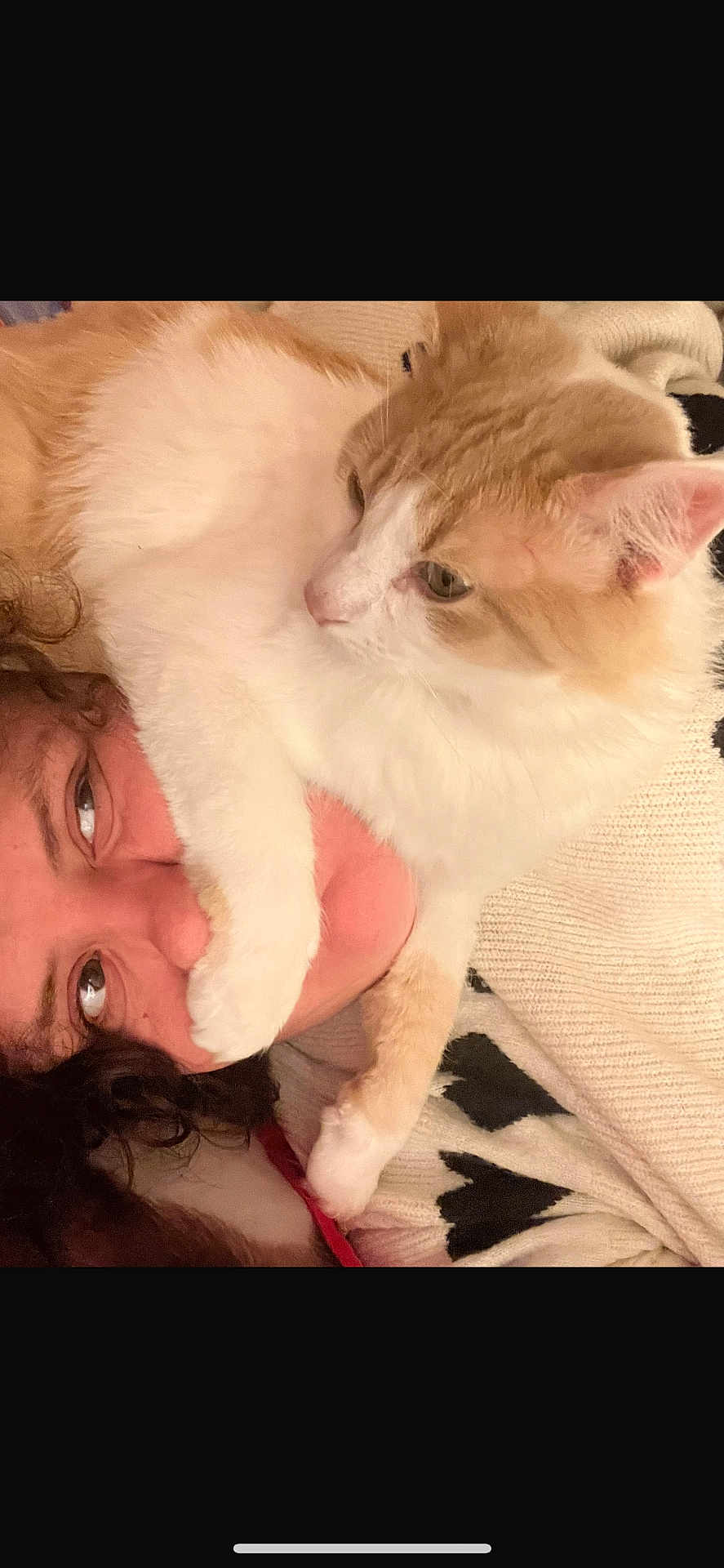 Apple a rejoint le concours — aidez-le/la à gagner de superbes lots ! cat, person, face, paw, fur, orange_and_white, close_up, indoor, cuddle, affection, cozy, curly_hair, blanket, knitwear, resting, cute, pet, animal, human, relaxation