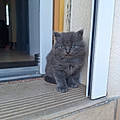 Audrey M.