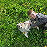 Blue a rejoint le concours — aidez-le/la à gagner de superbes lots ! boy, puppy, grass, dandelions, outdoor, smiling, child, petting, dog, happy, sunlight, nature, greenery, playful, casual_clothing, animal, summer, relaxed, friendship, cute