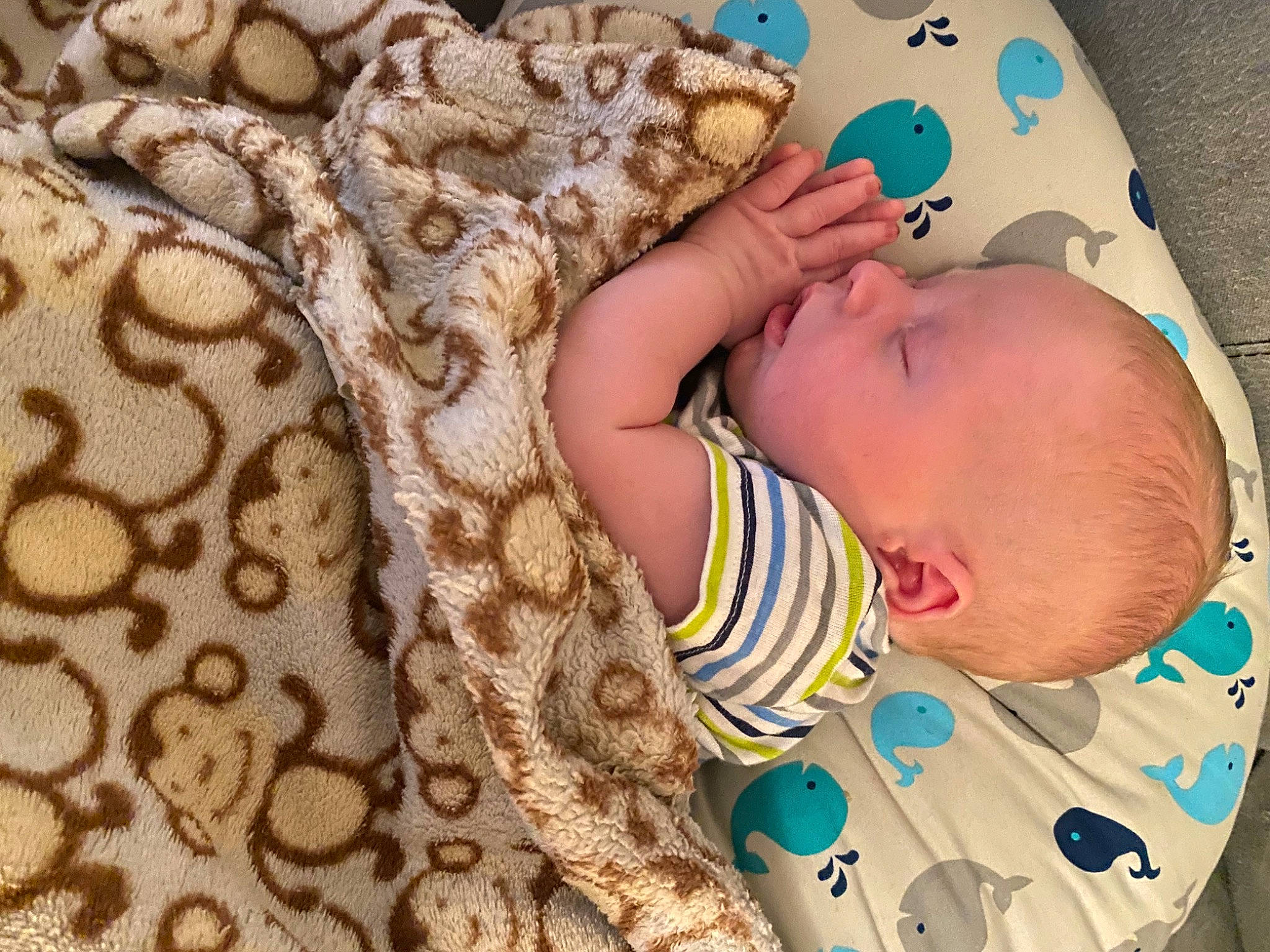 Dwayne is registered to the contest to win money with this photo: baby, baby_products, baby_sleeping, baby_toddler_clothing, brown, cheek, comfort, eye, finger, flooring, hand, iris, linens, nail, pattern, person, skin, sleeve, textile, toddler