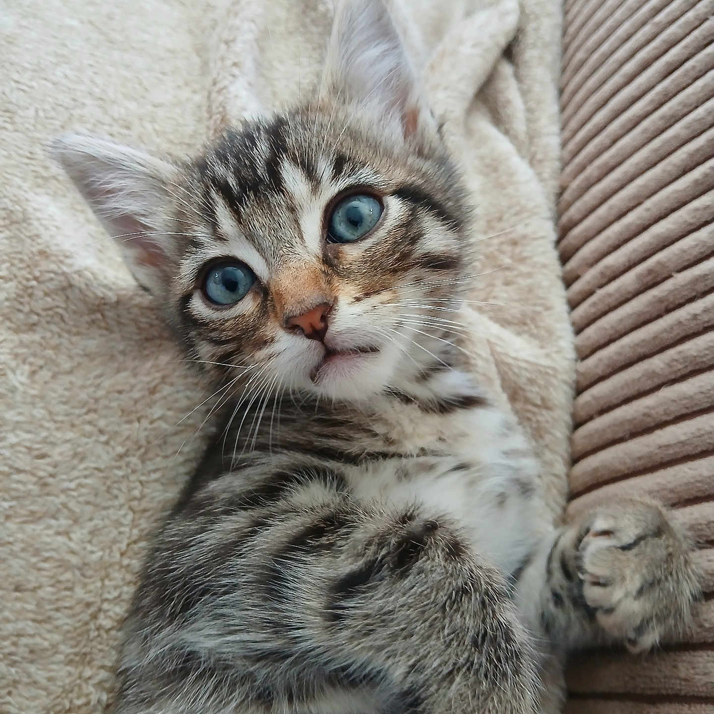 Prince