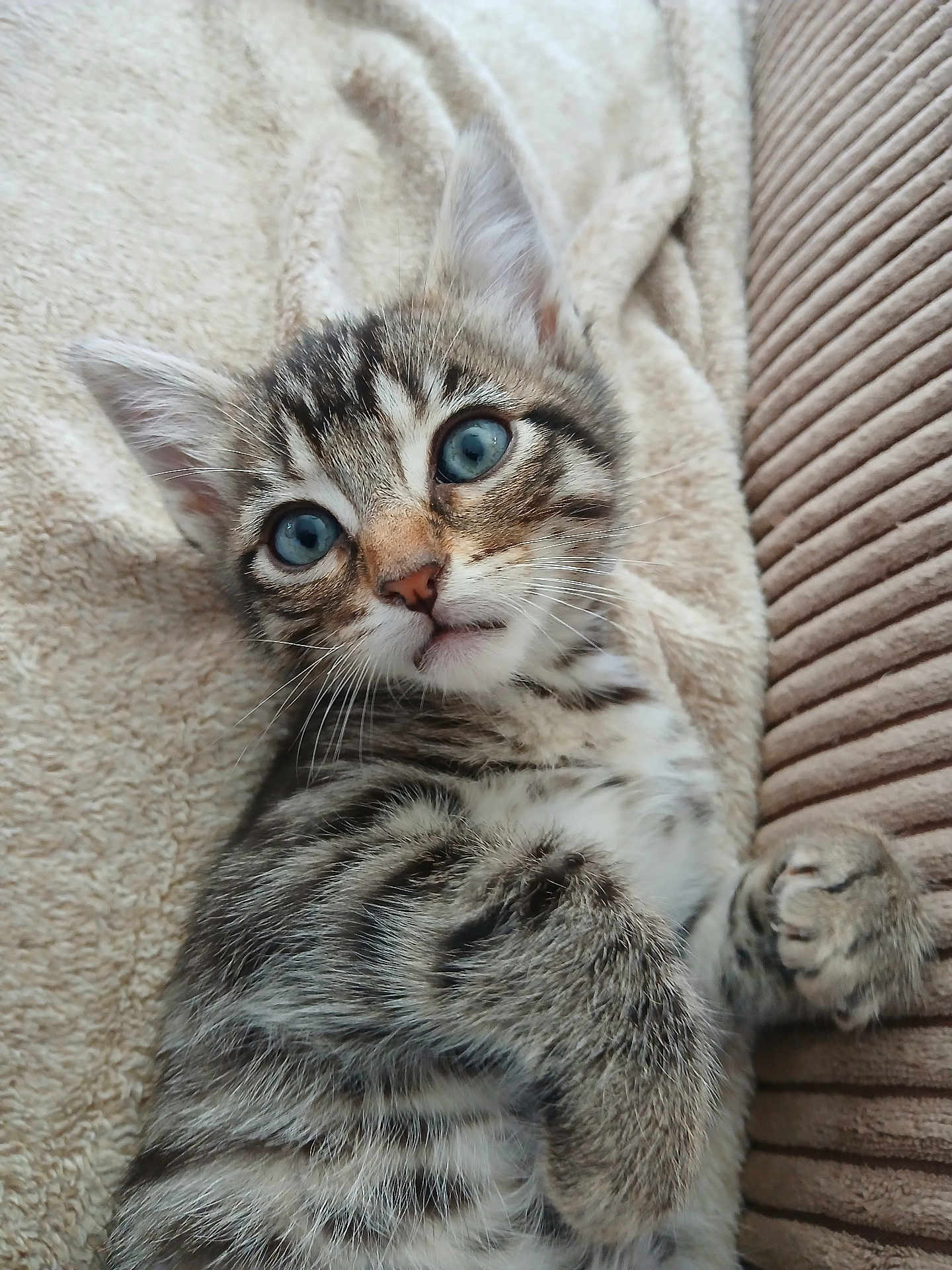 Prince