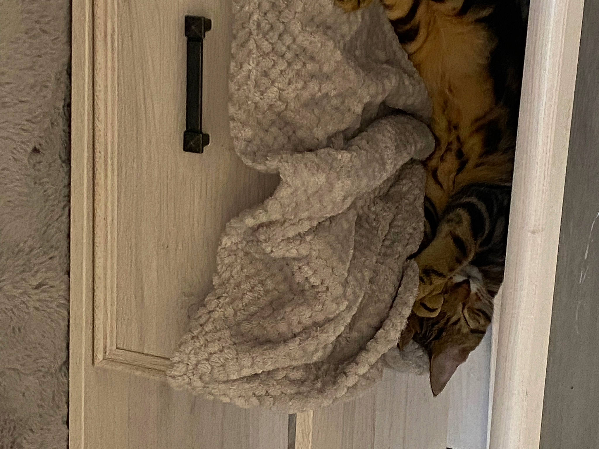 Luffy a rejoint le concours — aidez-le/la à gagner de superbes lots ! door, facade, fur, grey, hardwood, house, linens, monochrome, pattern, plant, room, sash_window, siding, still_life_photography, tints_and_shades, tree, trunk, twig, window, wood