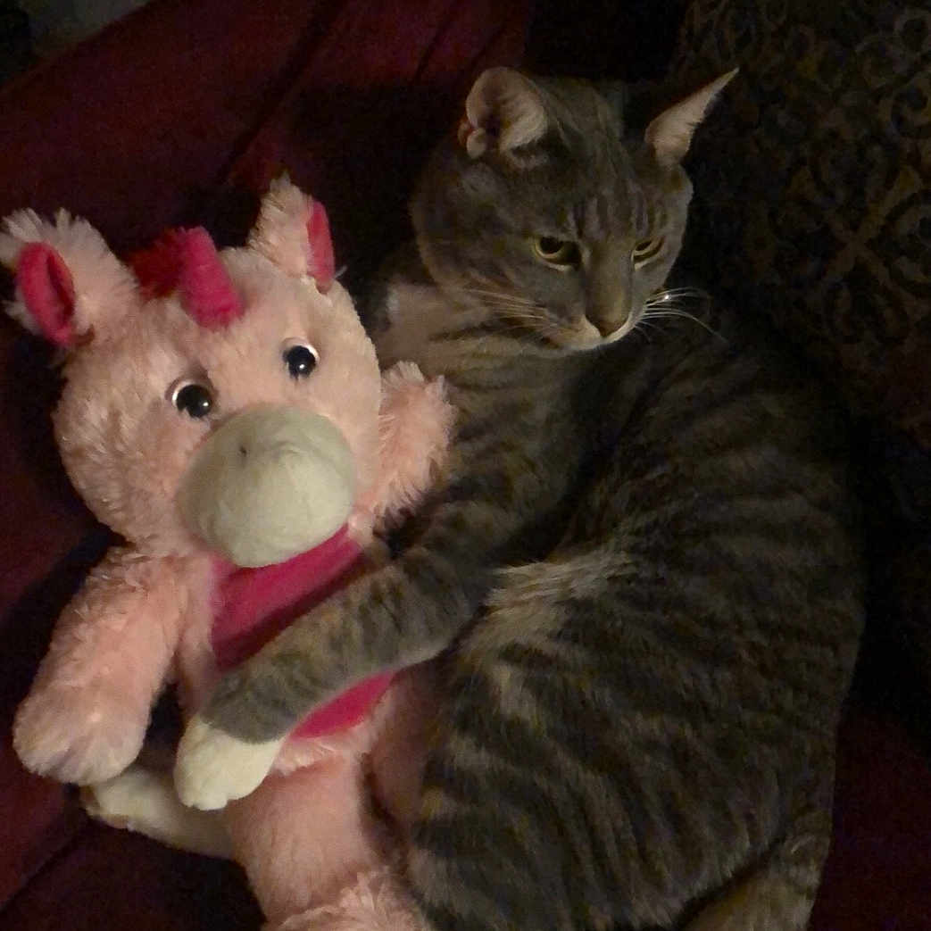 Meow Meow