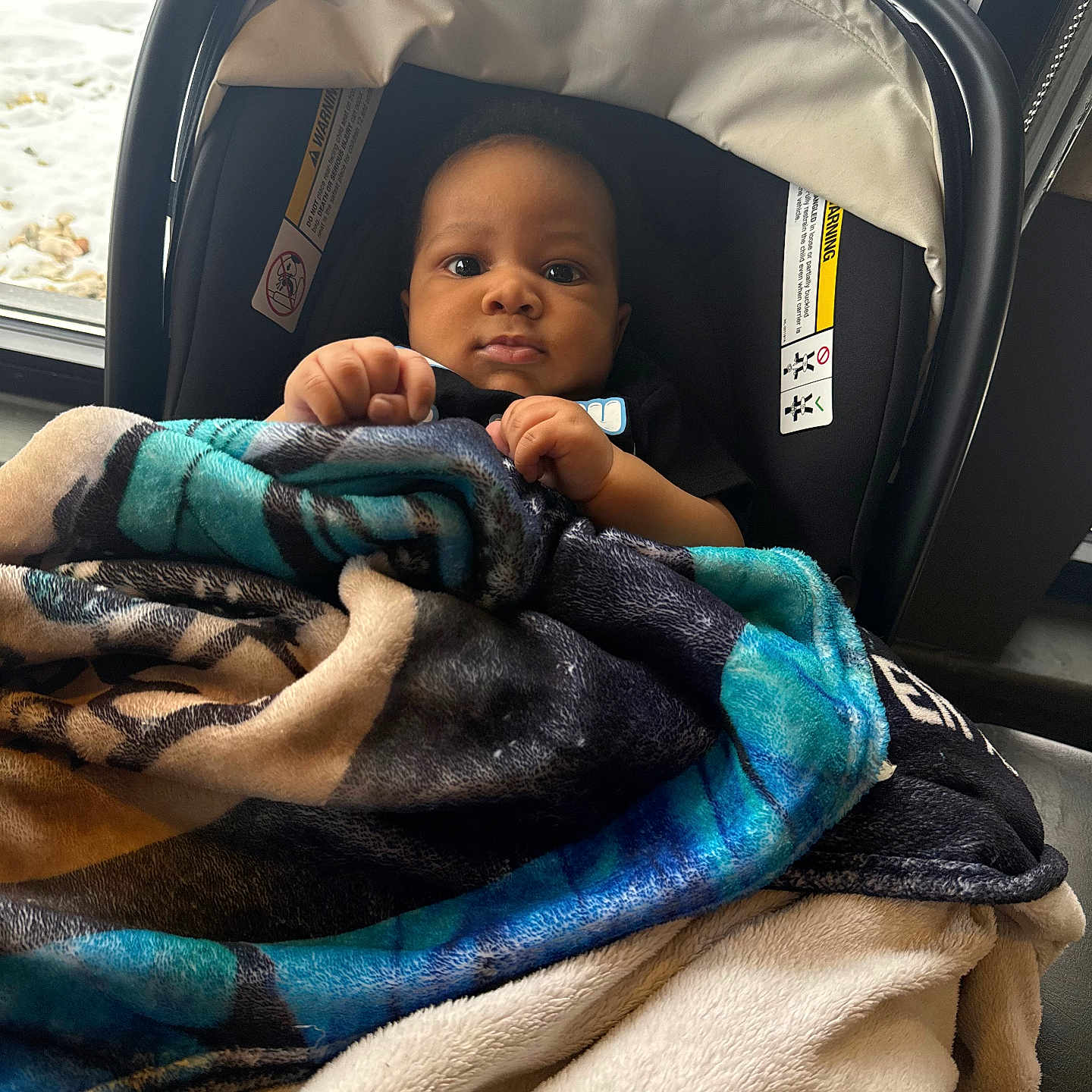 Prince joined the competition — help win amazing prizes! baby, blanket, car_seat, child, indoors, window, snow, winter, curious, person, face, hands, cozy, warm, clothing, portrait, infant, seat, young_child, cute