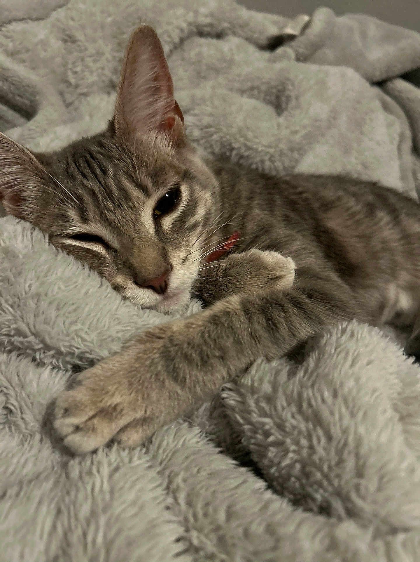 Luna