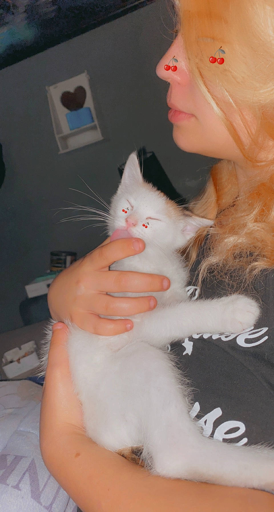 Rebelle participe au concours pour gagner de l'argent avec cette photo : abdomen, carnivore, cat, chest, ear, eyebrow, eyelash, fawn, felidae, fur, gesture, human_body, lap, long_hair, nail, paw, skin, small_to_medium_sized_cats, trunk, whiskers