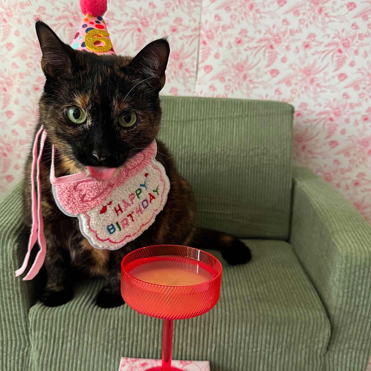 Casca is registered to the contest to win money with this photo: cat, birthday, party_hat, bib, armchair, corduroy, tortoiseshell, green, red_glass, drink, floral_pattern, pink, celebration, pet, indoor, cute, festive, animal, tongue_out, small_furniture