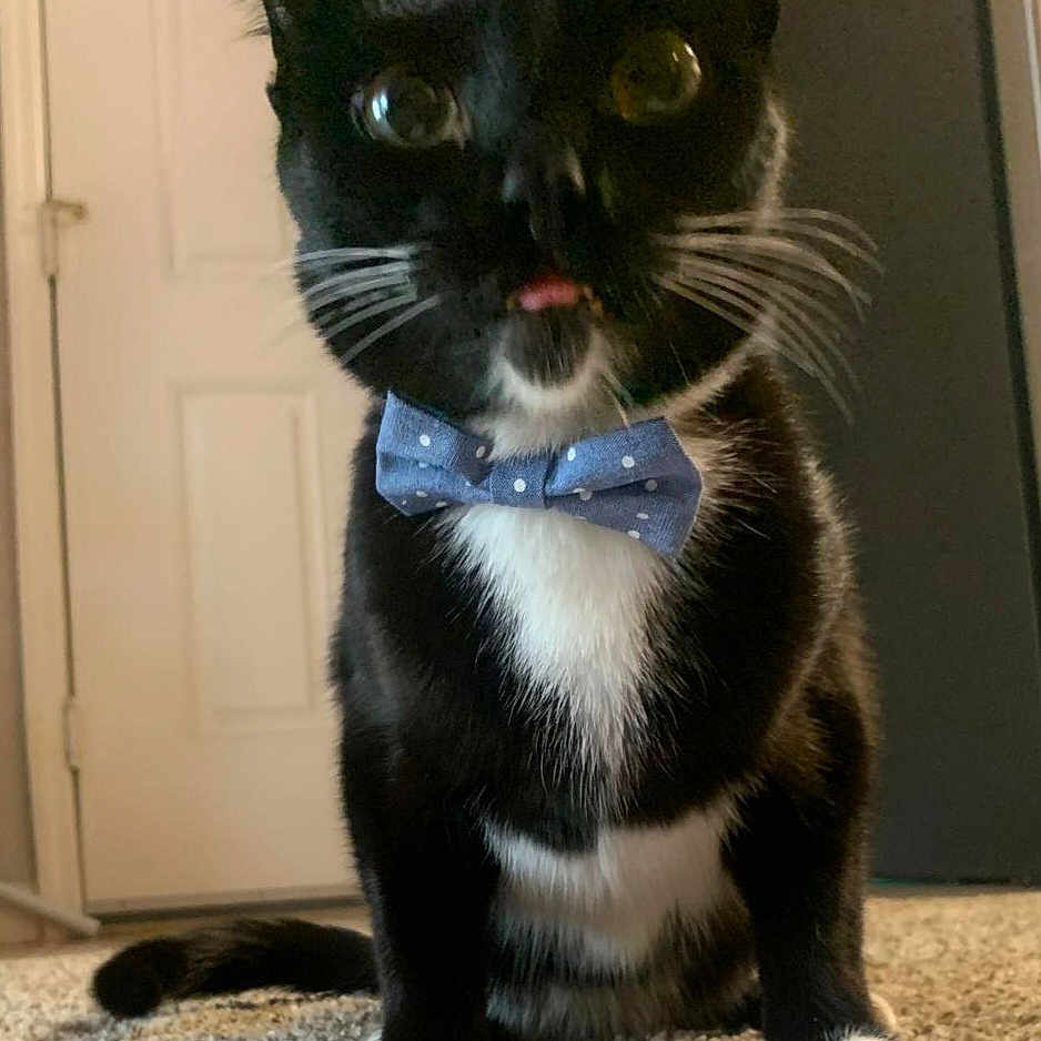 Charlie