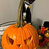 cat, pumpkin, jack_o_lantern, indoor, candle, autumn, decoration, table, orange, black_and_white, curious, pet, festive, holiday, halloween, stem, leaf, cozy, funny, playful