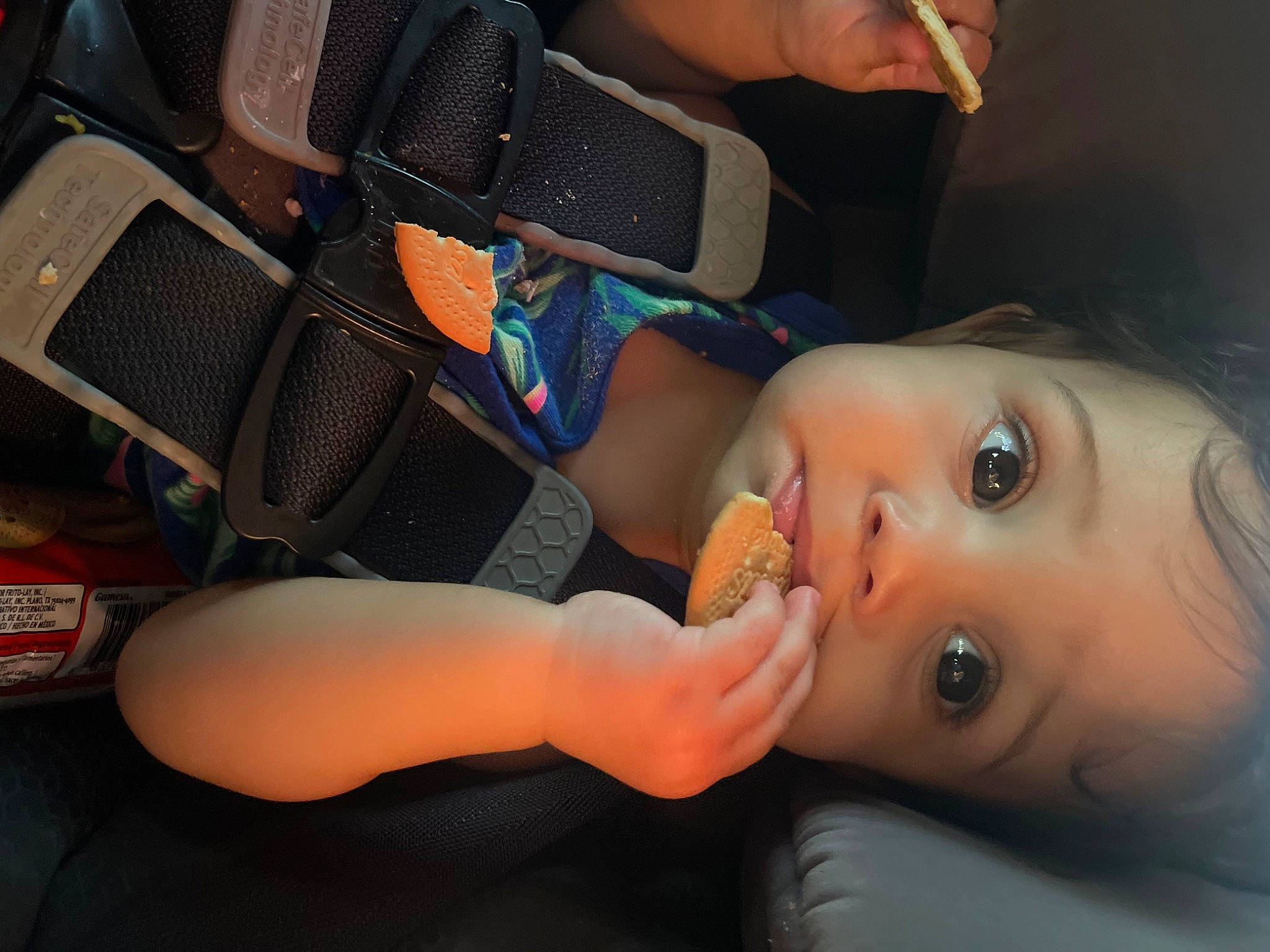 Novafay joined the competition — help win amazing prizes! child, elbow, eyelash, eyewear, fun, gesture, hairstyle, happy, human_body, joint, lip, mouth, nail, nose, person, plant, shoulder, skin, thumb, toddler