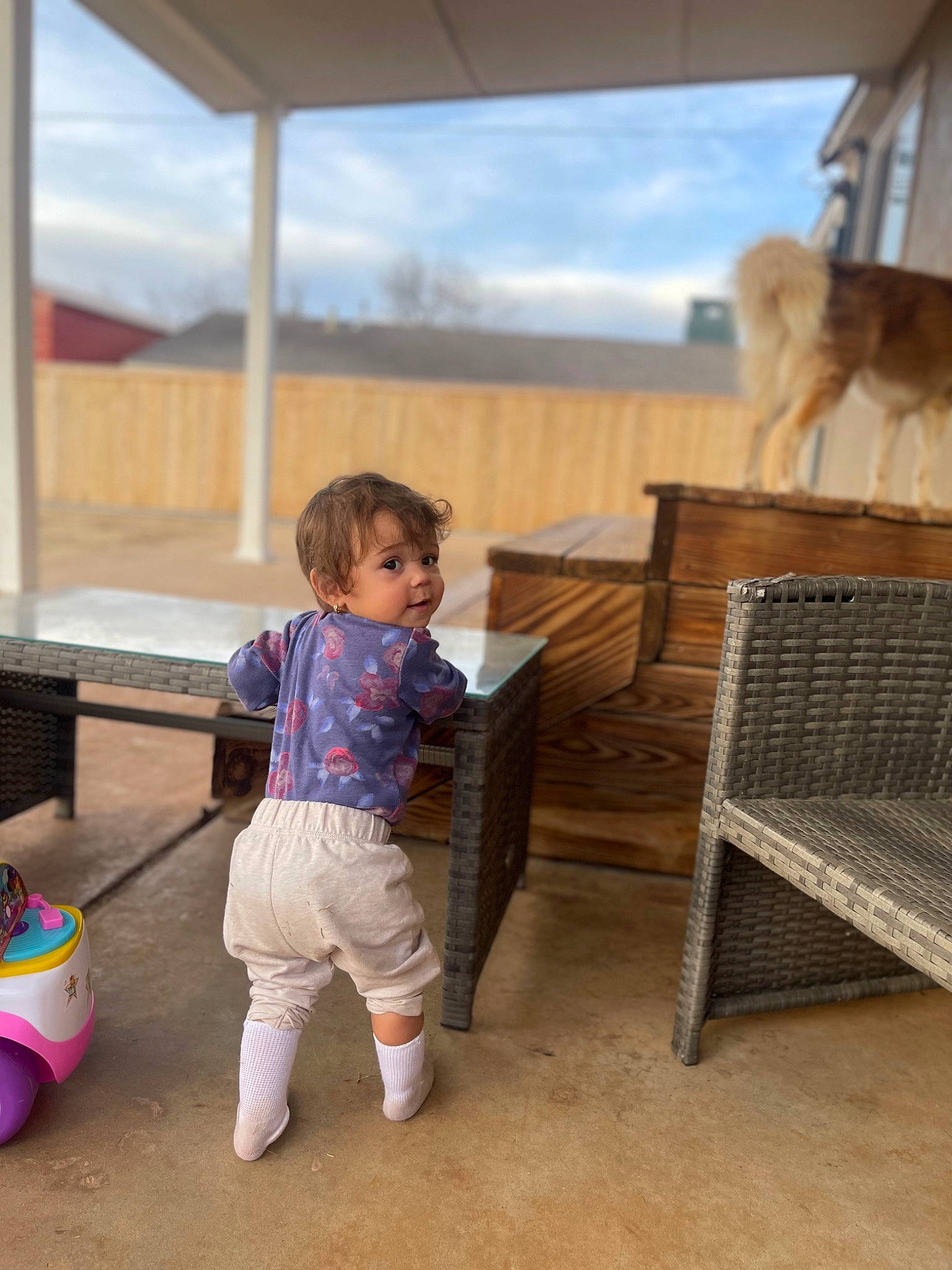 Novafay joined the competition — help win amazing prizes! baby, baby_toddler_clothing, child, cloud, flooring, fun, fur, hardwood, human, leisure, person, play, recreation, room, shade, sitting, sky, t_shirt, toddler, vacation