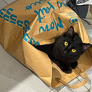 Ares participe au concours pour gagner de l'argent avec cette photo : animal, black_cat, cat, curious, cute, domestic_cat, ears, feline, floor, hiding, household, indoor, looking, paper_bag, paws, pet, shadow, tile_floor, whiskers, yellow_eyes