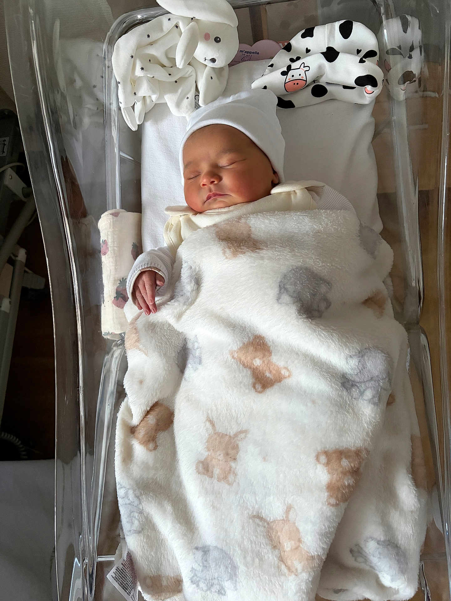 Joy participe au concours pour gagner de l'argent avec cette photo : baby, newborn, sleeping, blanket, bassinet, hospital, plush_toy, bunny, cow_print, soft_texture, swaddled, infant, peaceful, bed, clothing, headwear, indoor, cute, resting, child