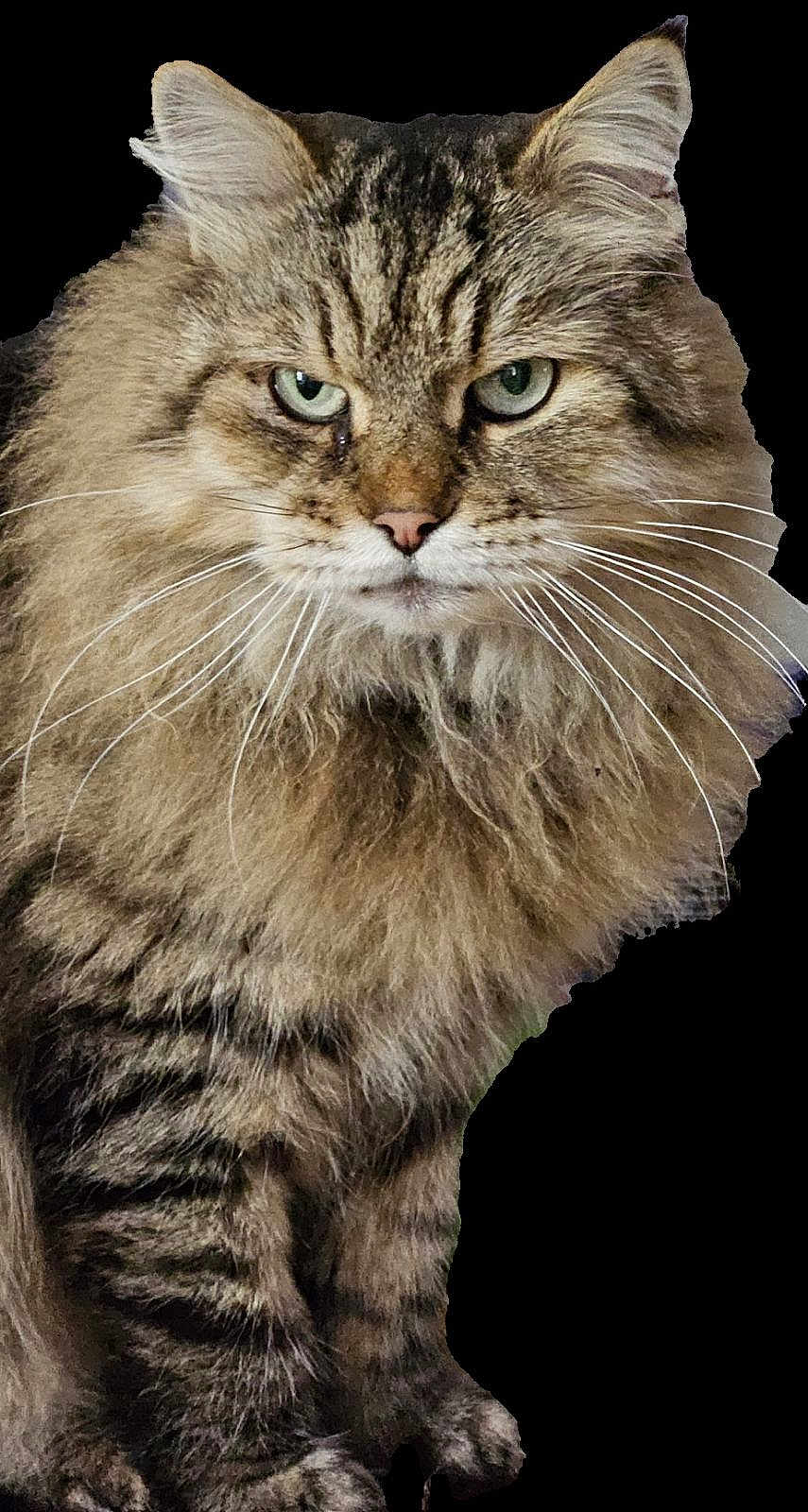Garik