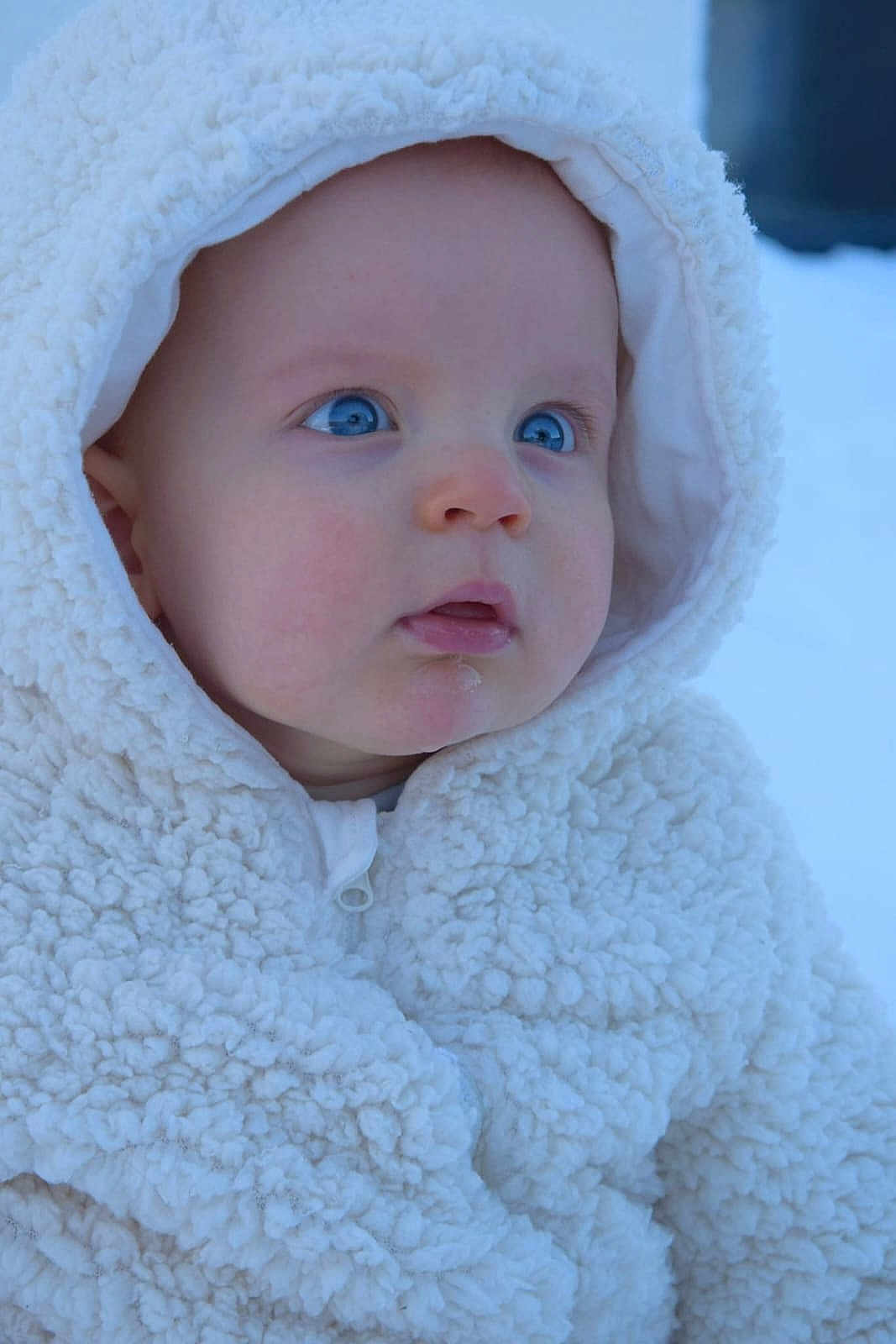 Liam participe au concours pour gagner de l'argent avec cette photo : baby, infant, child, face, blue_eyes, hood, fleece_coat, winter_clothing, bundled_up, snow, outdoors, portrait, close_up, rosy_cheeks, drool, cute, texture, zipper, curious, soft_fabric