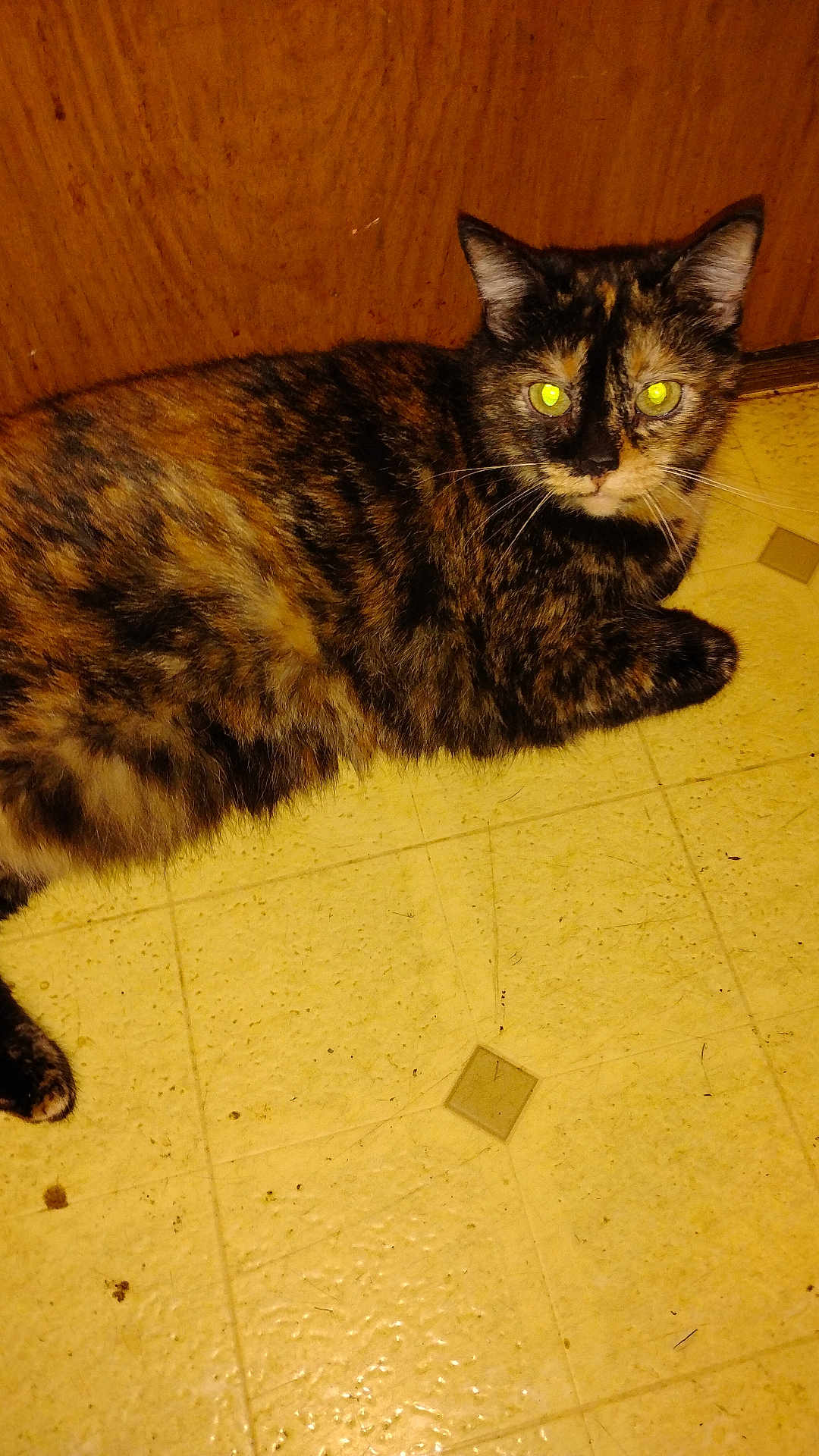 Princess