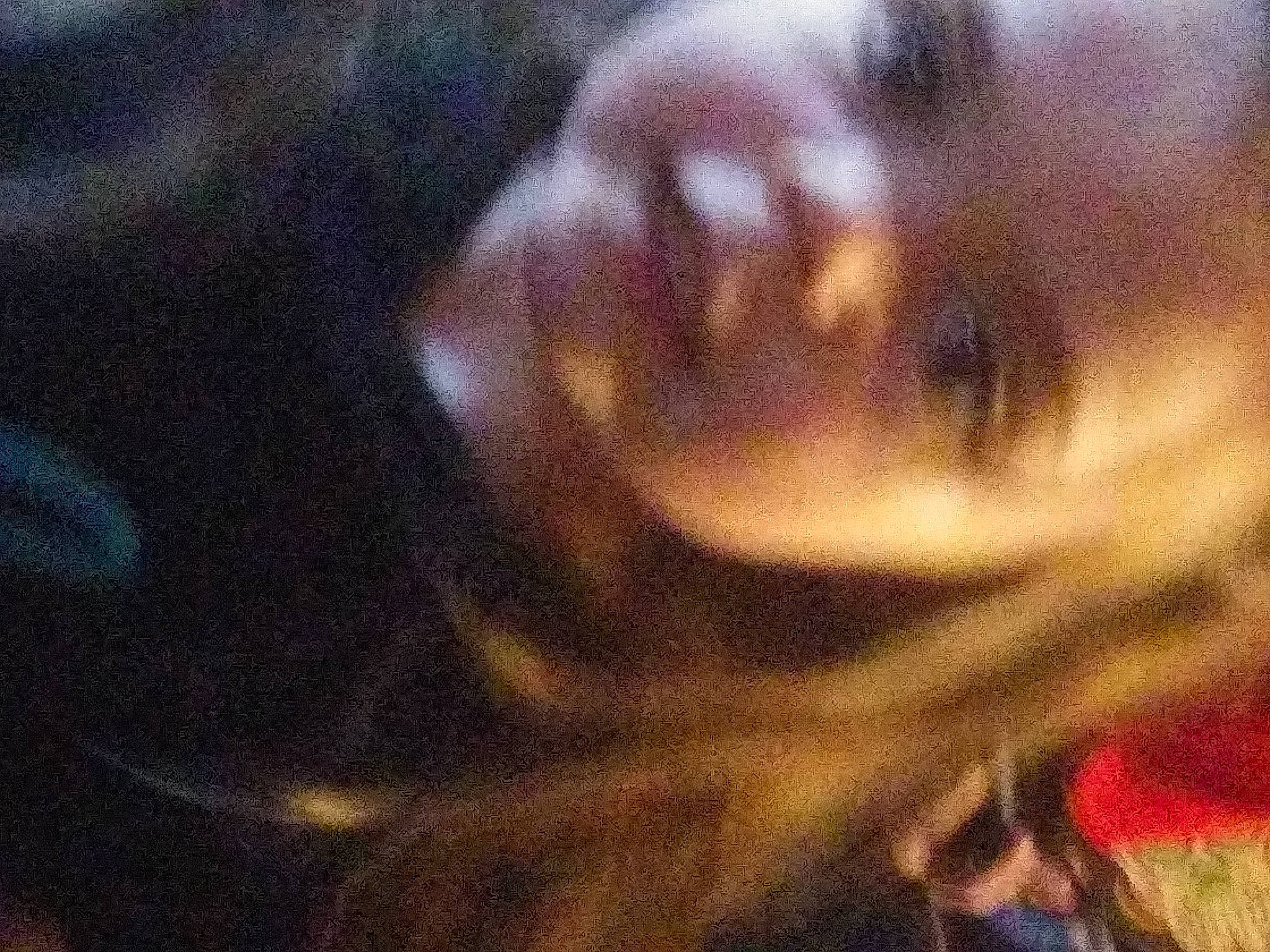 Kayla joined the competition — help win amazing prizes! art, cg_artwork, eyelash, fur, grass, jaw, landscape, macro_photography, natural_landscape, painting, pattern, person, petal, plant, snout, tints_and_shades, tree, visual_arts, whiskers, wildlife