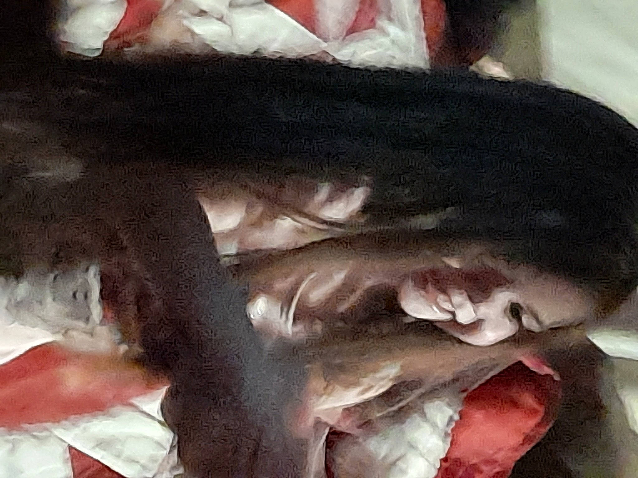 Kayla Amos is registered to the contest to win money with this photo: animal_product, carmine, claw, comfort, felidae, flesh, fur, gesture, human_leg, jaw, nap, person, sleep, small_to_medium_sized_cats, tail, whiskers