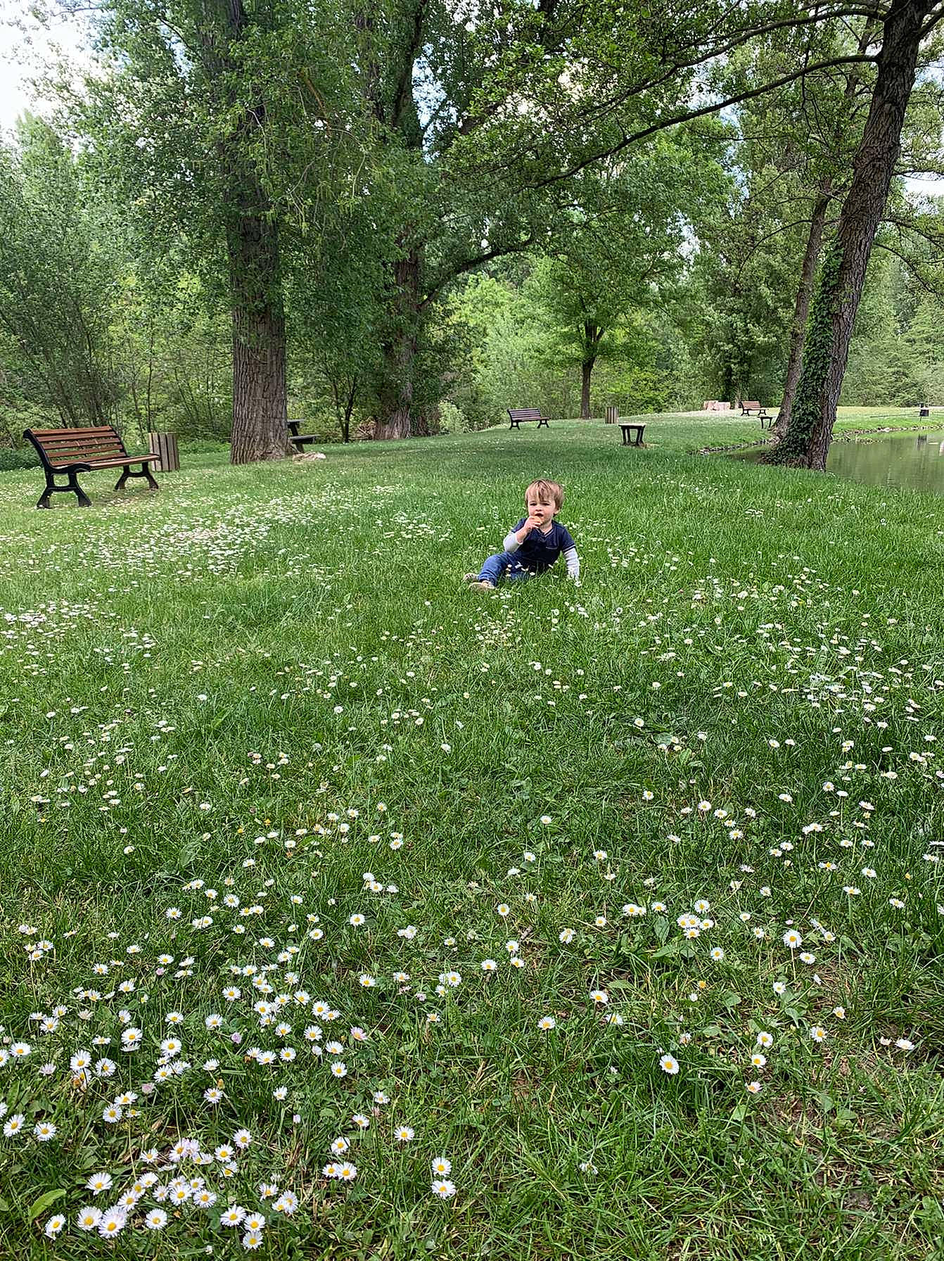 Iliano a rejoint le concours — aidez-le/la à gagner de superbes lots ! botany, flower, grass, grass_family, grassland, green, groundcover, land_lot, landscape, leisure, mammal, meadow, natural_landscape, people_in_nature, person, petal, plant, plant_community, shrub, tree