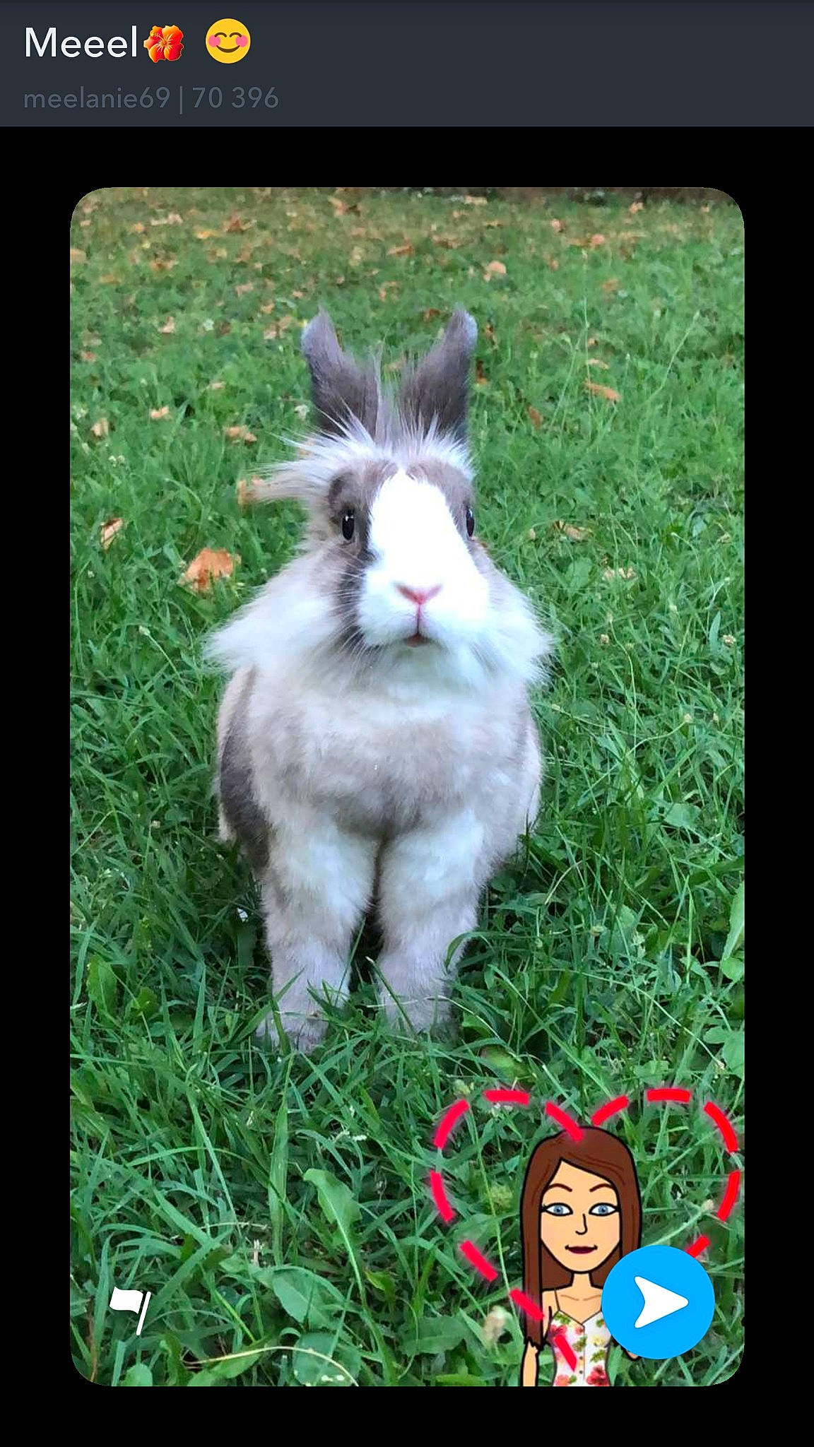 Praline a rejoint le concours — aidez-le/la à gagner de superbes lots ! domestic_rabbit, fauna, grass, hare, headwear, mammal, organism, person, photo_caption, plant, rabbit, rabits_and_hares, tail, vertebrate, whiskers, wildlife