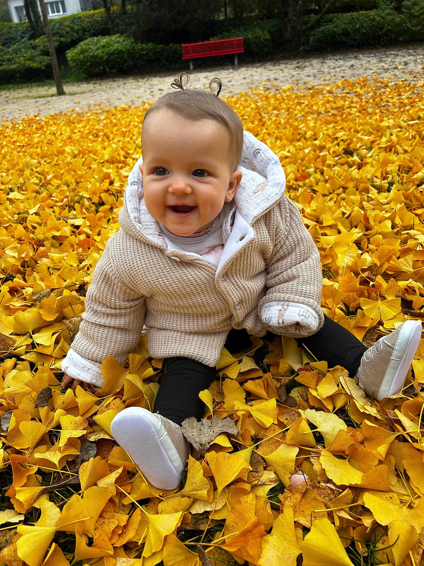 Héléna participe au concours pour gagner de l'argent avec cette photo : baby, child, autumn, leaves, yellow_leaves, outdoor, smiling, happy, sitting, sweater, shoes, nature, park, seasonal, fall, cute, portrait, person, young_child, cozy