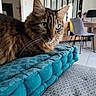cat, tabby, green_eyes, feline, pet, indoor, cushion, teal, furniture, chair, mirror, living_room, whiskers, fur, relaxing, domestic_animal, close_up, cozy, soft_texture, home_interior