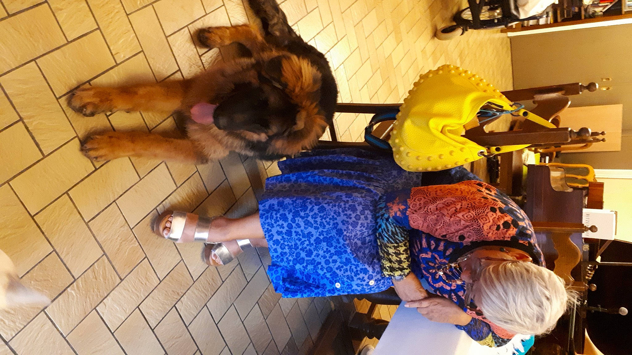 Wolfgang a rejoint le concours — aidez-le/la à gagner de superbes lots ! art, beak, companion_dog, costume, dinosaur, electric_blue, fashion_design, feather, flooring, fun, fur, human_leg, stuffed_toy, tail, visual_arts, wing