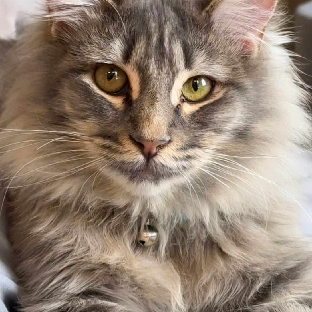 Smokey