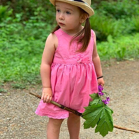 Evelina