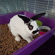 Snap a rejoint le concours — aidez-le/la à gagner de superbes lots !