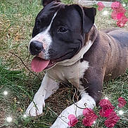 Narco participe au concours pour gagner de l'argent avec cette photo :