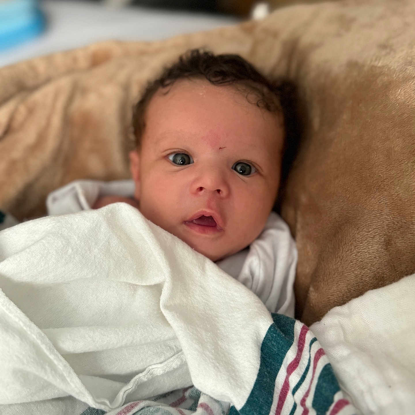 Prince joined the competition — help win amazing prizes! architecture, baby, bed, blanket, bodypart, building, couch, cushion, face, finger, furniture, hand, head, homedecor, newborn, person, photography, portrait, quilt, towel