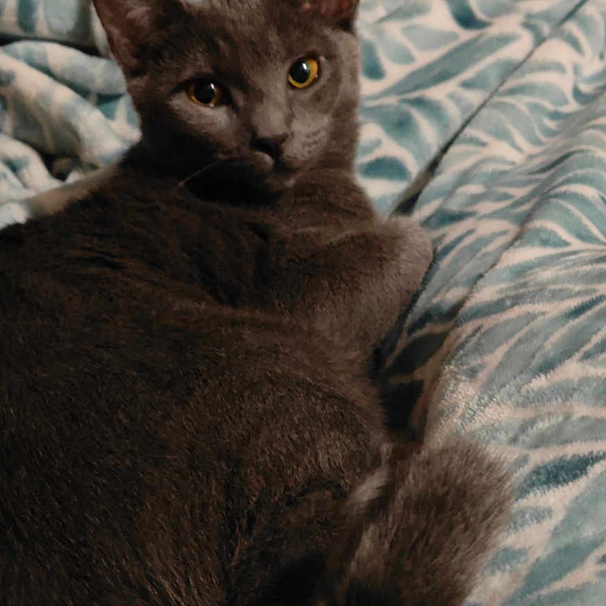Bianca