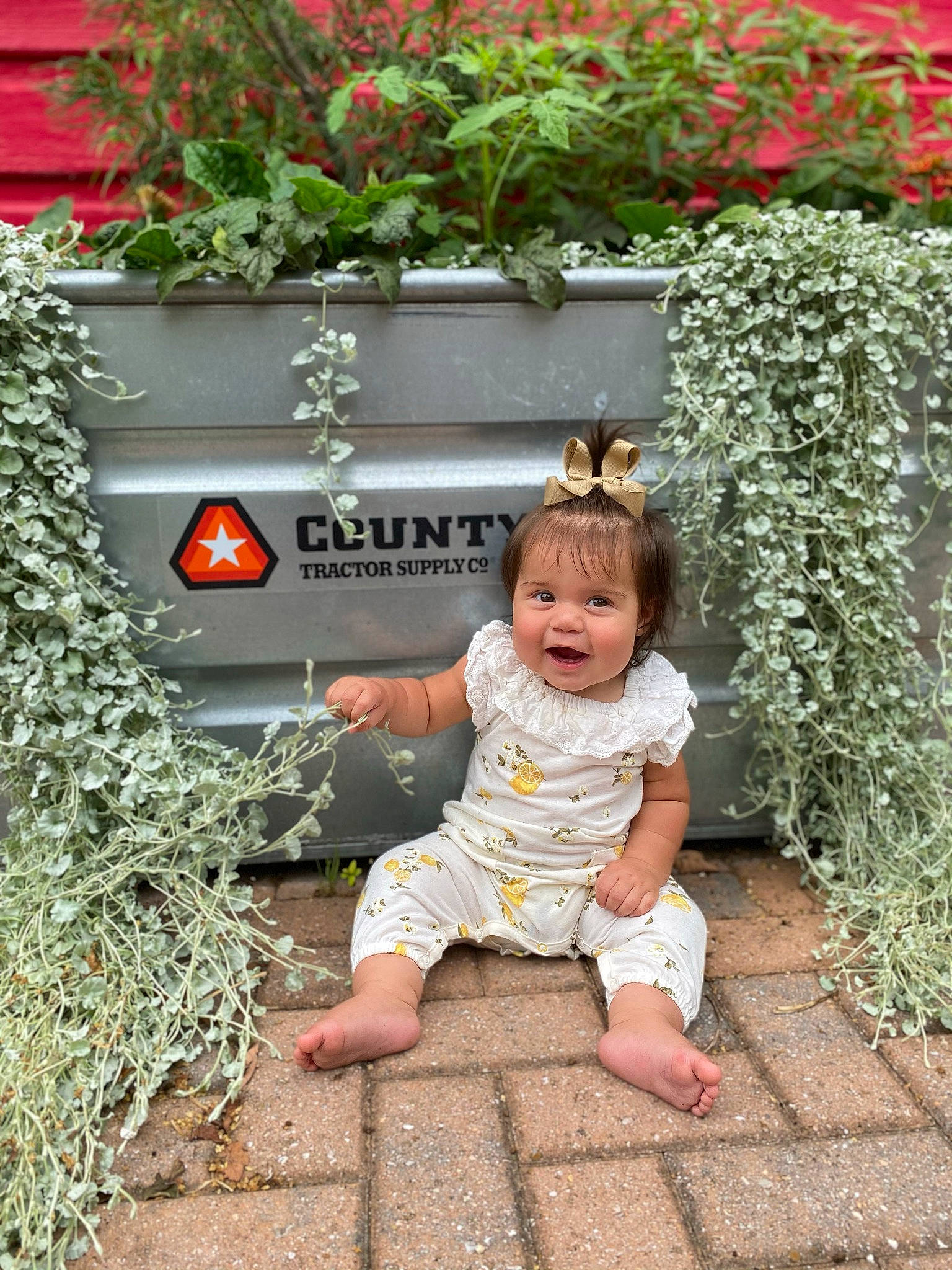 Jamison joined the competition — help win amazing prizes! baby, baby_toddler_clothing, child, conifer, evergreen, flower, garden, grass, green, happy, leaf, people_in_nature, person, plant, shrub, sitting, smile, snapshot, standing, toddler
