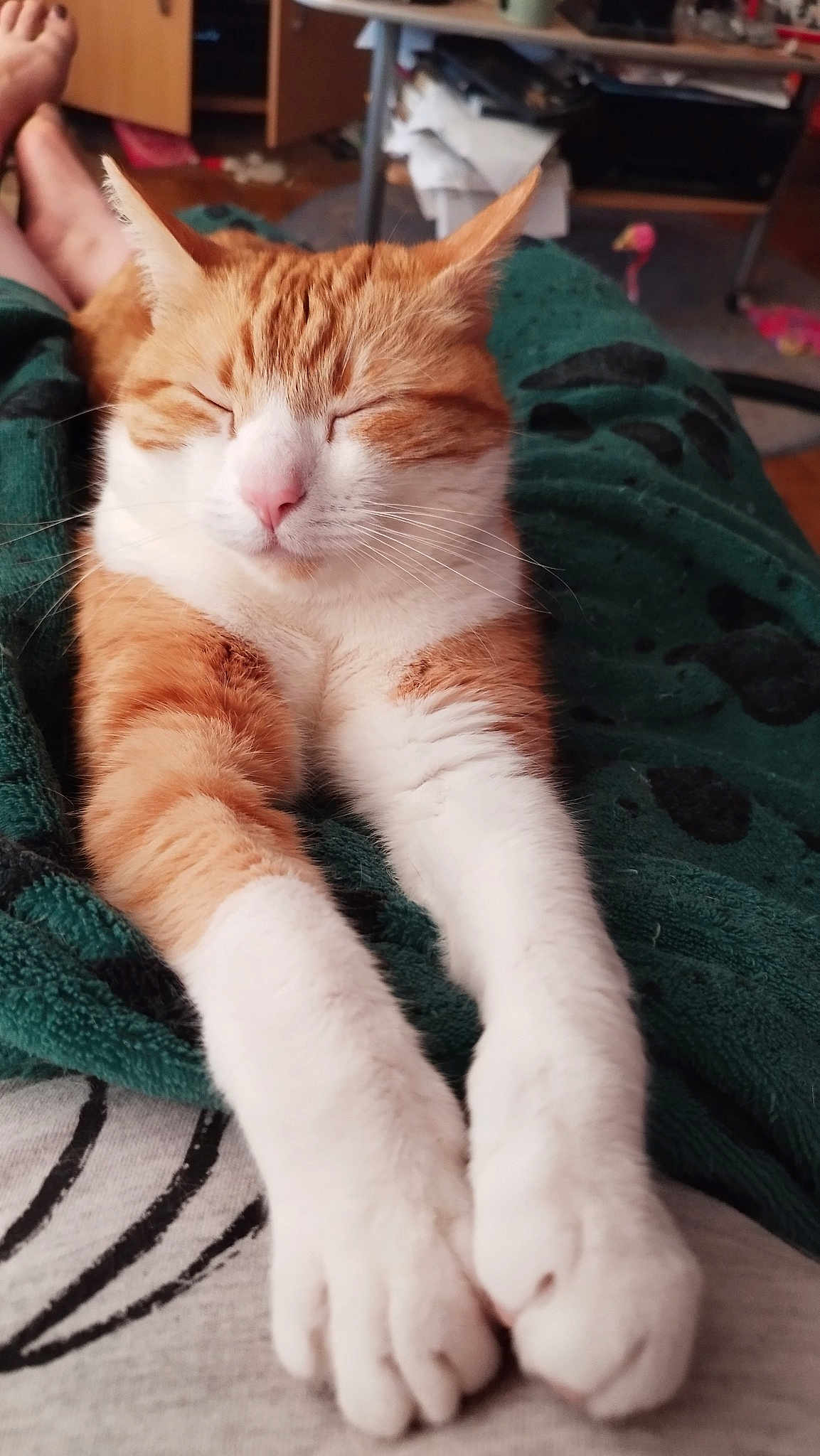 Oscar