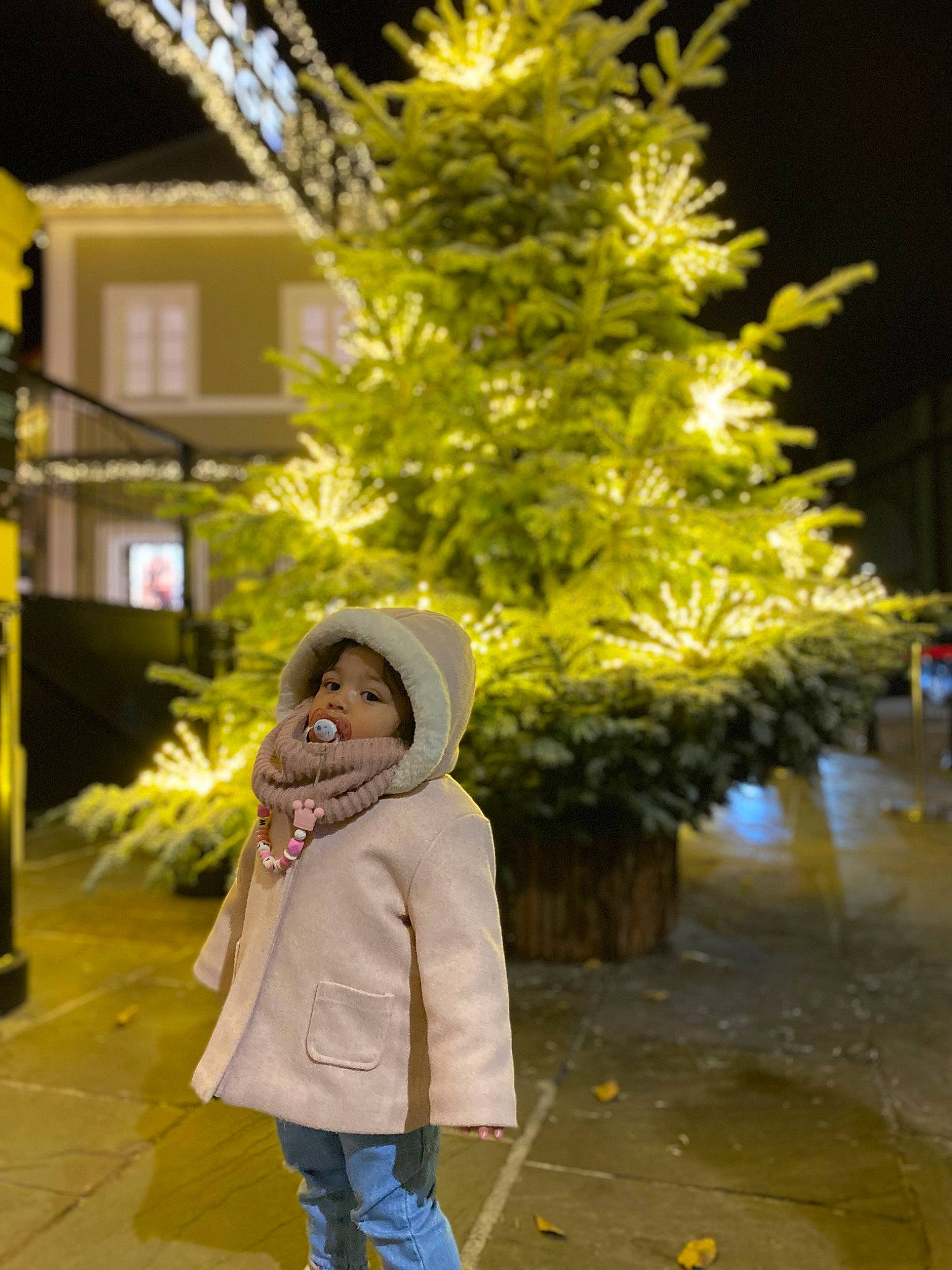 Miya participe au concours pour gagner de l'argent avec cette photo : city, event, evergreen, fun, grass, happy, headwear, jacket, leaf, leisure, pedestrian, person, plant, public_space, road, road_surface, sidewalk, toddler, twig, winter