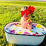 baby, child, red_bow, milk_bath, flowers, strawberries, white_tub, green_grass, outdoor, sunny, smiling, headband, playful, nature, cute, summer, portrait, water, infant, happy